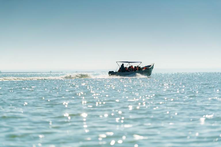 Barcă de agrement pe lacul Razelm, pe apă sclipitoare
